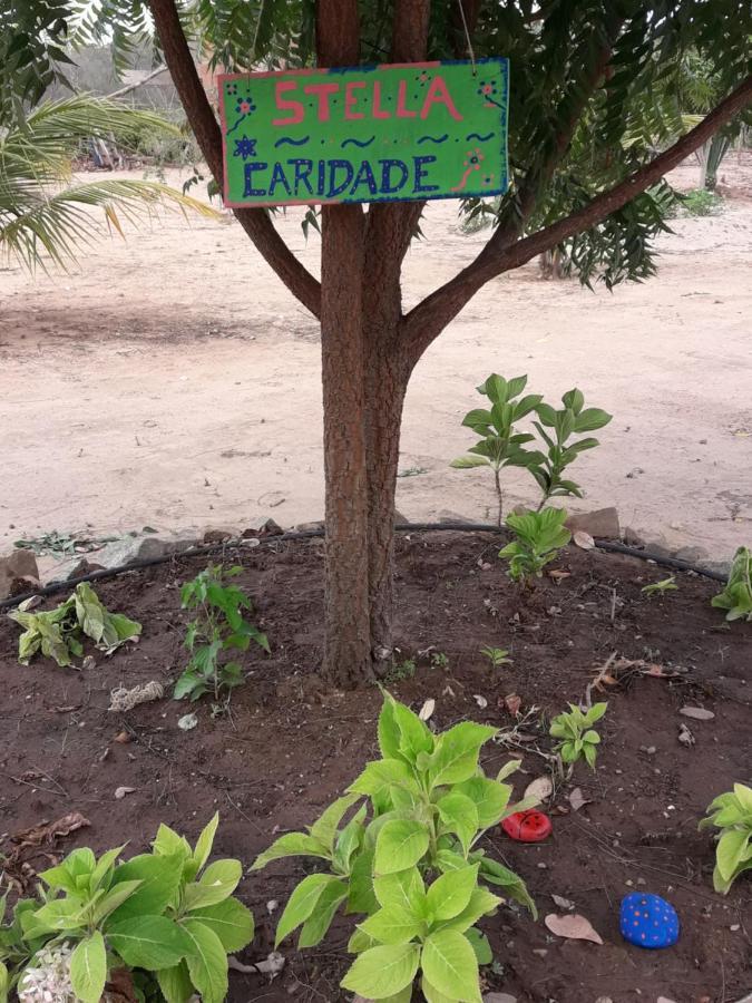 Chale Com Vista Privilegiada Piloes Екстер'єр фото